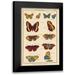 Unknown 11x14 Black Modern Framed Museum Art Print Titled - Histoire Naturelle Butterflies IV