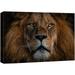 wall26 Canvas Print Wall Art Close Up Detail African Safari Lion Portrait Nature Animals Photography Realism Rustic Scenic Landscape Wilderness Zen Colorful for Living Room Bedroom Office - 12