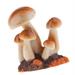 Mini Mushroom Figurine Home Fairy Garden Terrarium Decor Brown B