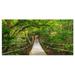 Designart Bridge to Jungle Thailand Landscape Photo Canvas Art Print