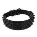 Dogs Kingdom Leather Black Spiked Studded Dog Collar 2 Wide 31 Spikes 52 Studdeds Pit Bull Boxer Collar