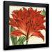 Vision Studio 20x20 Black Modern Framed Museum Art Print Titled - Tropical Vision V