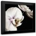 Poinski Dianne 12x12 Black Modern Framed Museum Art Print Titled - Delicate White Orchids 4