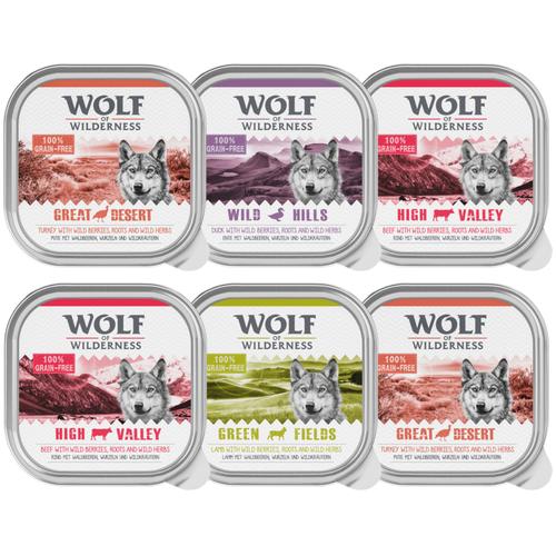 6 x 300 g Classic Schale MIX Wolf of Wilderness Hundefutter nass