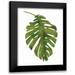 Wild Apple Portfolio 20x24 Black Modern Framed Museum Art Print Titled - Tropical Palm I