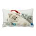 ECZJNT Christmas Ragdoll Cat Kitten Pillow Case Cover Set 20x30 Inch