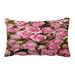 ABPHQTO Big Roses Twxture Pillow Case Pillow Cover Pillow Protector Two Sides For Couch Bed 20x30 Inch
