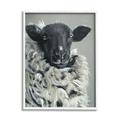 Stupell Industries Vintage Dorper Sheep Farm Animal Shaggy Fur 24 x 30 Design by Suzi Redman