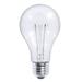 Bulbrite Pack of (25) 25 Watt Dimmable Clear A19 Incandescent Light Bulbs with Medium (E26) Base 2700K Warm White Light
