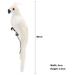 Fuwaxung 1/2pcs White Doves Feather Artificial Foam Lover Peace Doves Bird Home Decor Decoration Simulation Figurines Miniatures
