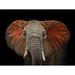 Artful Printers Majestic African Elephant Acrylic Portrait Plastic/Acrylic in Black/Gray/Red | 16 H x 20 W x 1 D in | Wayfair AC-16203000