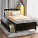 Easy Assemble Curvaceous Line Twin Wood Platform Bed with 2 Caster Drawers&Headboard for Small Aprtment Dorm Bedroom