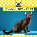 Pre-Owned Havana Brown Cats 9781617832413