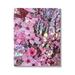 Stupell Industries Spring Pink Cherry Blossom Flowers Blooming Photography by Heidi Bannon - Photograph on Canvas in Green/Pink/Red | Wayfair