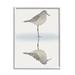 Stupell Industries Soothing Sandpiper Bird Standing Ocean Shoreline Reflection by Ziwei Li - Floater Frame Graphic Art on Canvas in Gray | Wayfair