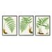 Stupell Industries Vegetation Latin Study Botanical Fern Plants Nature Graphic Art Black Framed Art Print Wall Art Set of 3 Design by Patty Rybolt