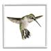 Stupell Industries Green Hummingbird Hovering Wings Flying Bird Beak Graphic Art White Framed Art Print Wall Art Design by Studio Q