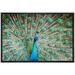 wall26 Framed Canvas Prints Wall Art - Peacock Showing Its Beautiful Feathers/Spreading Its Tail | Modern Wall DecorStretched Gallery Framed Canvas Wrap Giclee Print & Ready to Hang - 16 x24