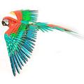 Metal Earth 3D Puzzle Parrot Metal Puzzle Animal Mockups to Build for Adults Moderate Level 13.18 X 28.19 X 14.73 cm