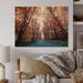 Millwood Pines Mustic Red Fall Forest - Traditional Wood Wall Art Décor - Natural Pine Wood in White | 24 H x 36 W x 1 D in | Wayfair