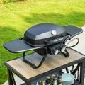 Sophia & William 2 Burner 15 000 BTU Portable Propane Gas Grill