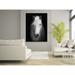 Artful Printers White Horse Face - Unframed Photograph Plastic/Acrylic in Black/White | 16 H x 16 W x 1 D in | Wayfair AC-16203603