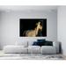 Artful Printers White Stallion Horse Sunset - Unframed Photograph Metal in Black/White | 40 H x 60 W x 1 D in | Wayfair AC-40603612