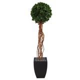 64" English Ivy Single Ball Artificial Topiary Tree in Black Planter UV Resistant (Indoor/Outdoor)