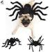 PULLIMORE Halloween Spider Costume for Dogs Cats Spiders Wings Cosplay Apparel for Small Medium Dog Cat (M Black)