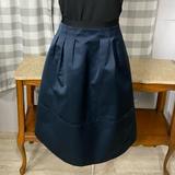 Madewell Skirts | Beautiful Navy Skirt By Madewell Size 2 | Color: Blue | Size: 2