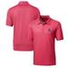 Men's Cutter & Buck Cardinal Arkansas Razorbacks Primary Team Logo Pike Mini Pennant Polo