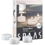 Scented Tea Lights Candles in Clear Cups Vanilla & Myrrh Fragrance for Spa Dinner and Home Decor 24 Pack