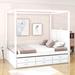 Red Barrel Studio® Chesko Queen Size 3 Drawers Canopy Platform Bed w/ Trundle Wood in White | 78 H x 62 W x 82 D in | Wayfair