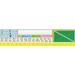 Carson-Dellosa Carson Dellosa Education Desk Reference Nameplates 18 x 4 36 Per Pack 6 Packs