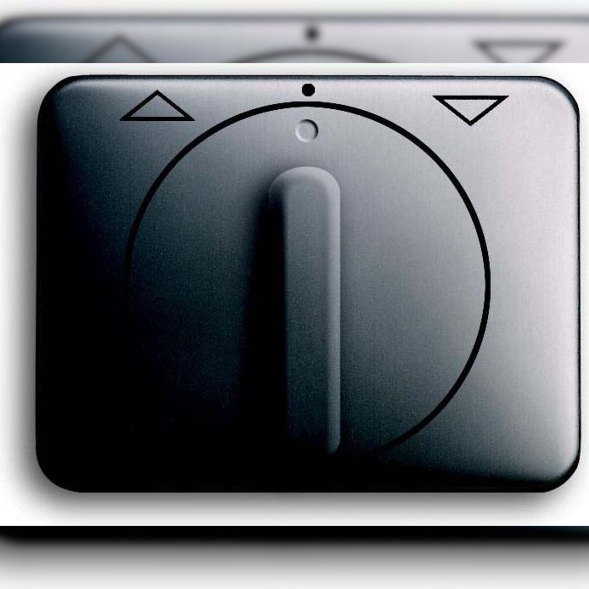 Busch-Jaeger Zentralscheibe pla 1740 DR-20 2CKA001753A1092 Image