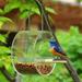 Wild Bird Feeder Transparent Acrylic Window Bird Feeder Round Semi-enclosed Bird Feeder Station Window Hanging-Type Birdhouse with Metal Chain for Outdoor Porch Ball