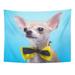 UFAEZU Beautiful Chihuahua Dog with Bow Tie Portrait in Blue Colorful Collection Wall Art Hanging Tapestry Home Decor for Living Room Bedroom Dorm 60x80 inch