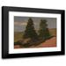 Frederic Edwin Church 18x15 Black Modern Framed Museum Art Print Titled - New England Landscape (Two Pine Trees) (1850)