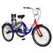 MOPHOTO 24 Single Speed Tricycle Low Frame Cruise Tricycle with large basket for Seniors Men Women Exercise Bicycle