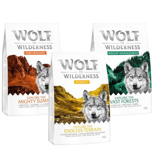 Wolf of Wilderness Adult - Mixpaket 