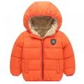 Eleanos Winter Warm Baby Long Sleeve Hoodie Jacket Outerwear Down Coat Clothes