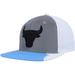 Men's Mitchell & Ness Silver/Blue Chicago Bulls Day 5 Snapback Hat