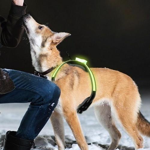 Hundegeschirr LED Hunde Welpen-Geschirr Brustgeschirr Leuchtend Ausbruchsicher M