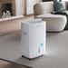 120 Pints Energy Star Dehumidifier for Spaces up to 6,000 Sq. Ft at Home, with Drain Hose and 1.14 Gallons Water Tank