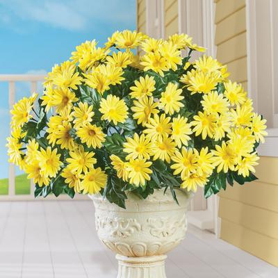 Artificial Blooming Daisy Bushes - Set of 3 - 18.000 x 12.000 x 4.000
