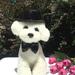2Pcs/Set Pet Hat Black Sequins Dress-up Universal Cats Dogs Bucket Hat Bow Tie Kit for Christmas