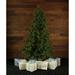 The Holiday Aisle® 7.5 Foot Pre Lit Foxtail Pine Green Christmas Tree, Clear Smart Lights in Green/White | Wayfair 15ECF925EF734600A508C6C454993E8F