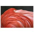 Great BIG Canvas | Close Up Of A Flamingo Resting Its Head On Its Back Art Print - 48x32