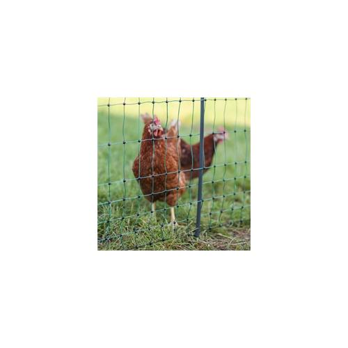 AKO PoultryNet Premium 50m Geflügelnetz, 122cm, 15 verstärkte Pfähle, 2 Spitzen, grün, ohne Strom