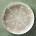 Anthropologie Dining | Anthropologie Astrid Dessert/Side Plate - Grey | Color: Silver/White | Size: Os